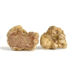 Truffle: Premium Wild in Louisiana